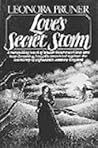 Love's Secret Storm