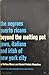 Beyond the Melting Pot: The Negroes, Puerto Ricans, Jews, Italians, and Irish of New York City