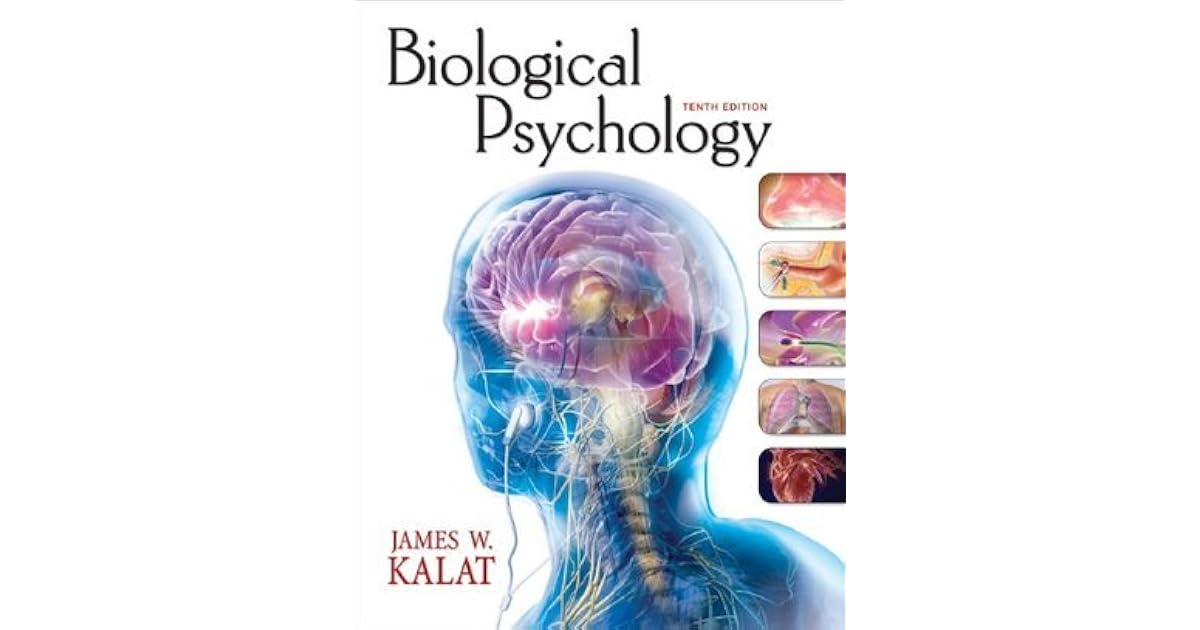 Study Guide for Kalat's Biological Psychology by James W. Kalat