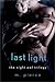 Last Light (Night Owl Trilogy)