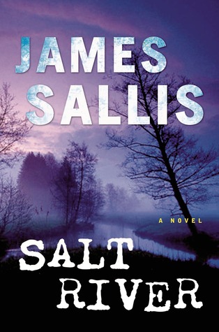 Salt River (Turner, #3)