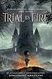Image for Trial by Fire