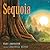Sequoia