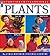 Plants by Ontario Science Centre