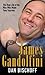 James Gandolfini: The Real Life of the Man Who Made Tony Soprano (Thorndike Press Large Print Biography)