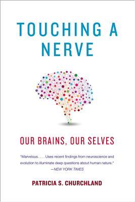 Touching a Nerve: Our Brains, Our Selves (Paperback)