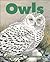 Owls (Kids Can Press Wildli...