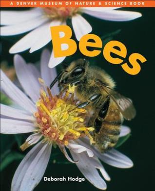 Bees (Denver Museum Insect Books)