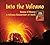 Into the Volcano: A Volcano Researcher at Work