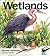 Wetlands