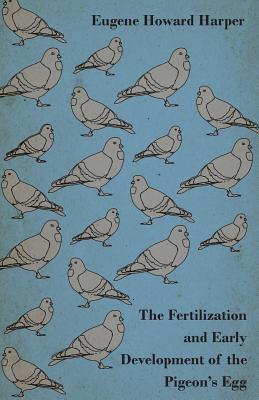 Methods for Preserving Meat and Fish (Paperback)