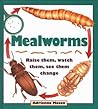 Mealworms: Raise them, watch them, see them change Mealworms: Raise them, watch them, see them change