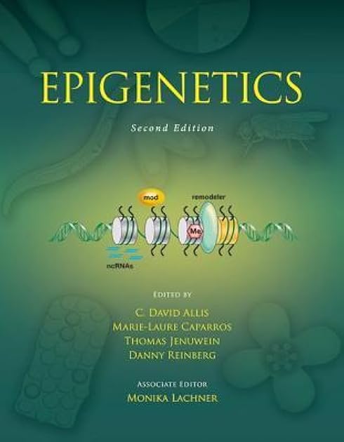 Epigenetics