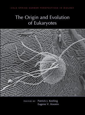 Origin And Evolution Of Eukaryotes