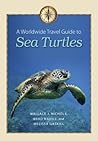 A Worldwide Travel Guide to Sea Turtles