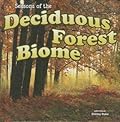 Seasons Of The Deciduous Forest Biome