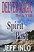 Spirit Past (Delver Magic, #8)