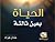 الحياة بعين ثالثة by عادل خزام
