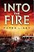 Into the Fire by Peter Liney Into the Fire by Peter Liney