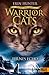 Fernes Echo (Warrior Cats - Zeichen der Sterne, #2)