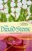 The Druid Stone by Helen McCann