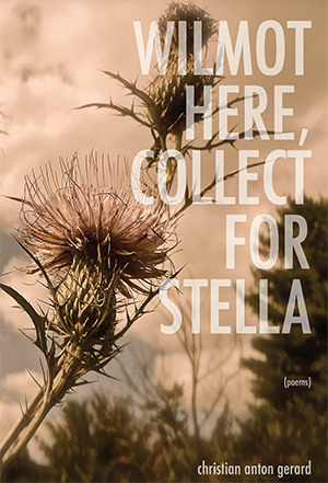 Wilmot Here, Collect for Stella (Paperback)