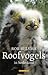 Mijn roofvogels