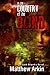 In the Country of the Blind (A Zach Brandis Mystery) by Matthew Arkin