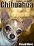 Guide to the Chihuahua