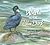 Whetu the little blue duck by Jennifer Beck