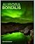 Aurora Borealis