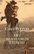Het avontuurlijk uitzicht: Een essay over literatuur en kritiek