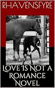 Love Is Not a Romance Novel