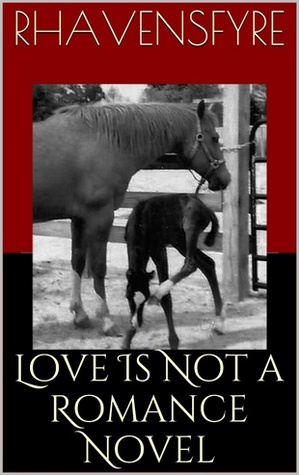 Love Is Not a Romance Novel (Chase and Rowan, #2)