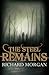 The Steel Remains by Richard K. Morgan