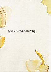 Gesang des Steinesammlers:  Gedichte. Isländisch-Deutsch