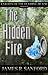 The Hidden Fire (Knights of the Flaming Blade Book 2)