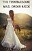 The Troublesome Mail Order Bride