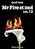 Mr Fire et Moi (Mr Fire et Moi, #12)