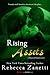 Rising Assets (Maverick Montana, #3) by Rebecca Zanetti