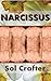 Narcissus