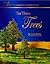 The Three Trees: Storybook Advent Calendar Singles
