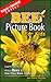 Bee: Picture Book For Kids