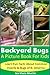 Backyard Bugs: A Picture Book For Kids