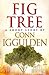 Fig Tree