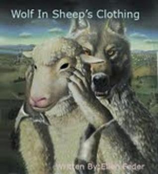 Wolf In Sheep S Clothing By Ellen Feder