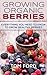 Growing Organic Berries: Ev...