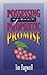 Possessing Your Prophetic Promise