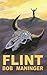 Flint by Bob Maninger
