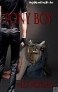 Master's Dungeon: Pony Boy